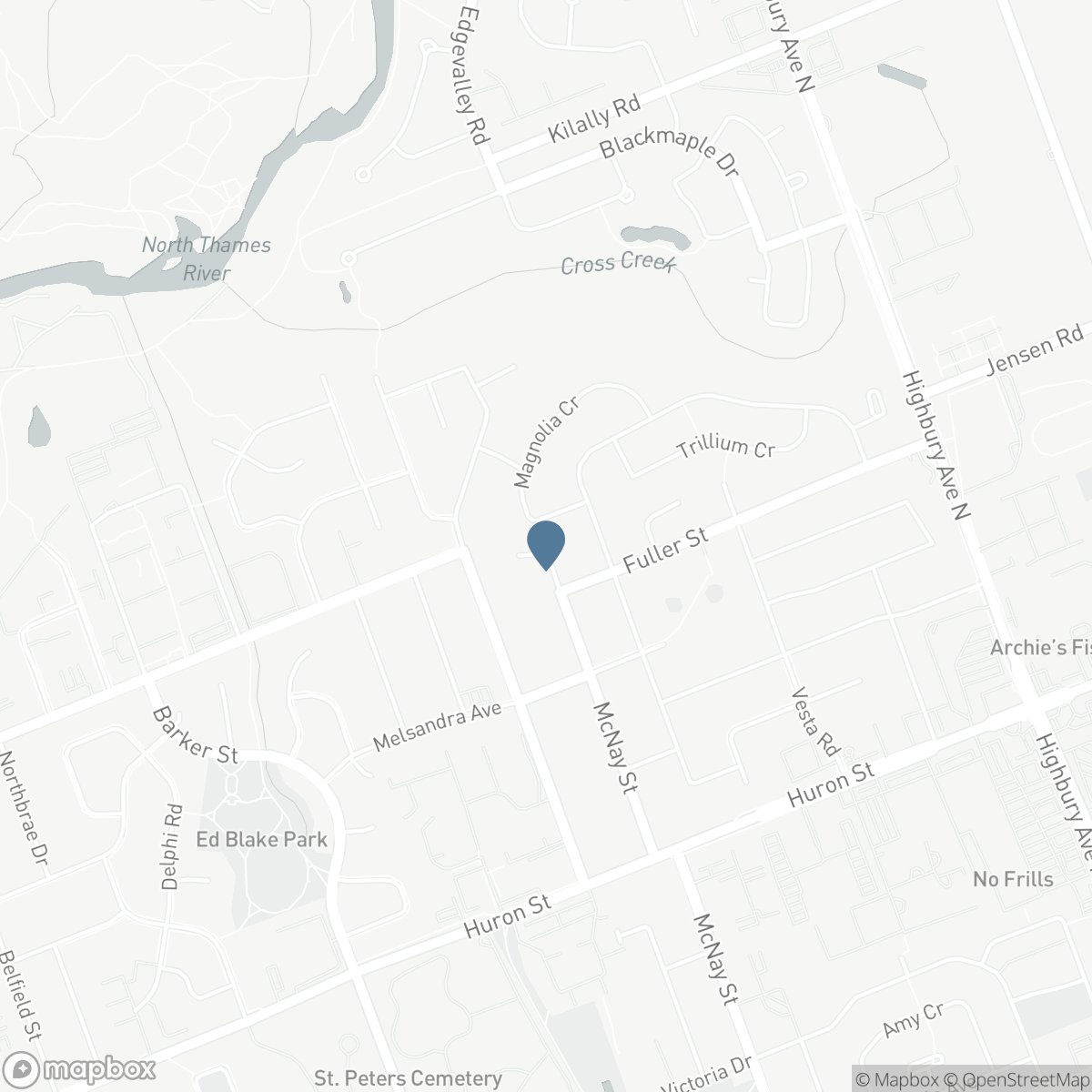419 MCNAY PLACE, London, Ontario N5Y 5K5